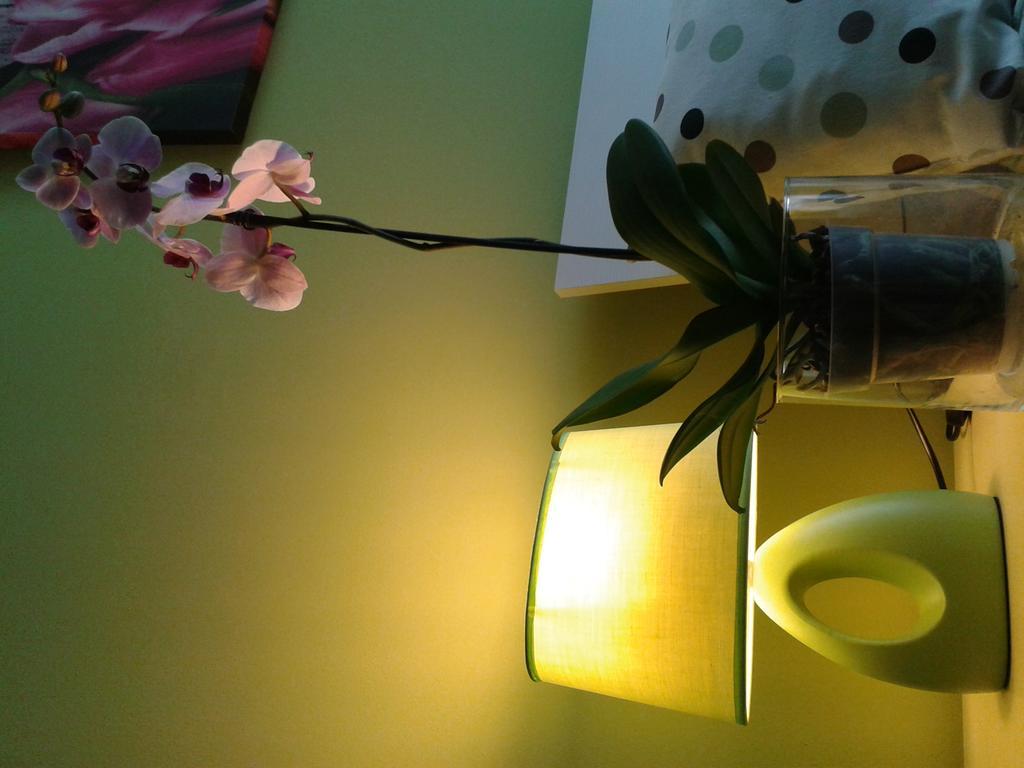 Milan Certosa 3 Bedrooms מראה חיצוני תמונה